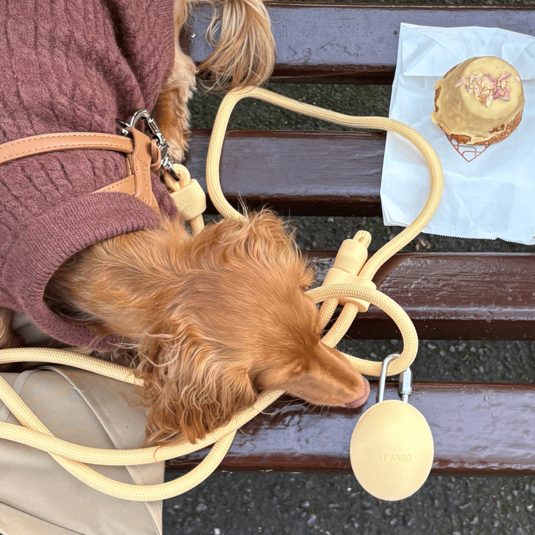 ST ARGO 零食袋 | 黄油