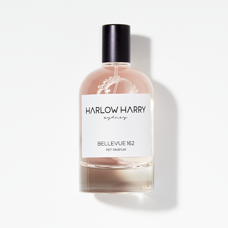 Harlow Harry Pet Parfum Bellevue 162