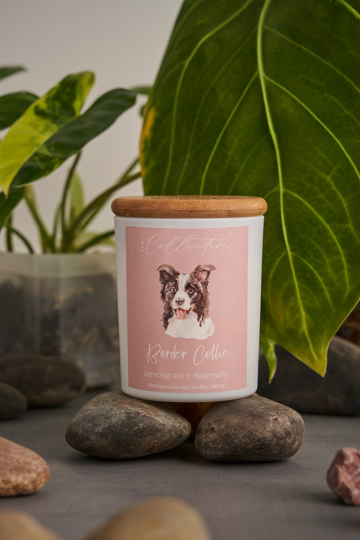 The Collective Border Collie Candle + Lemongrass + Rosemary