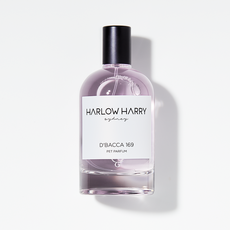 Harlow Harry Pet Parfum D'Bacca 169