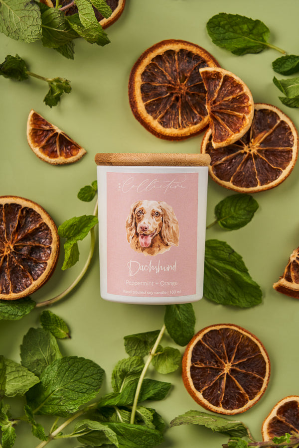 The Collective Dachshund Candle | Peppermint + Orange