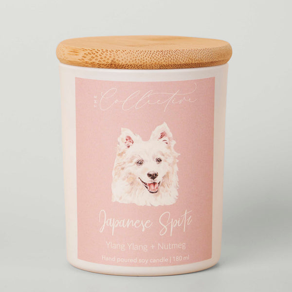 The Collective Japanese Spitz Candle | Ylang Yang + Nutmeg