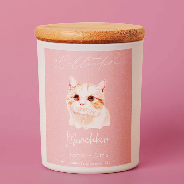 The Collective Munchkin Candle | Lavender + Catnip
