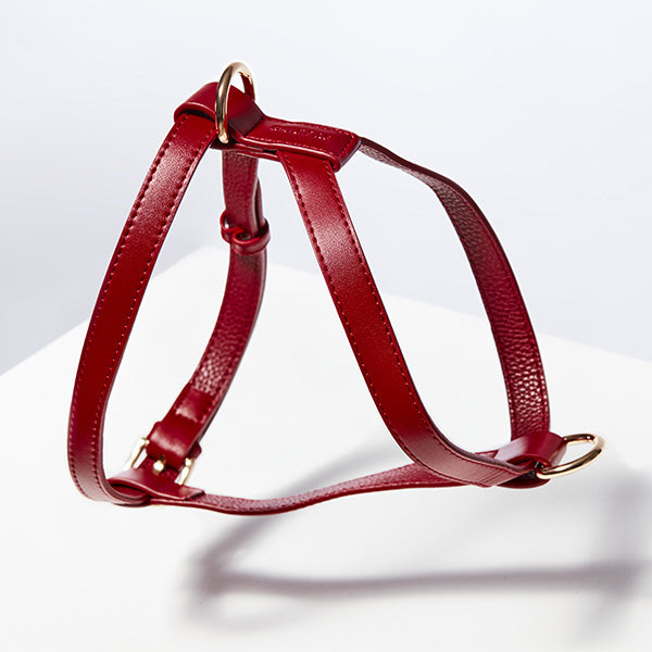 ST ARGO Ruby Red Harness