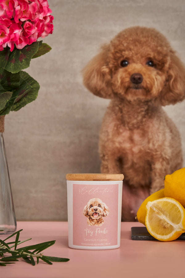 Toy Poodle Candle | Geranium + Lemon