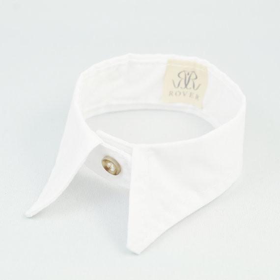 The Rover Boutique White Pointed Collar